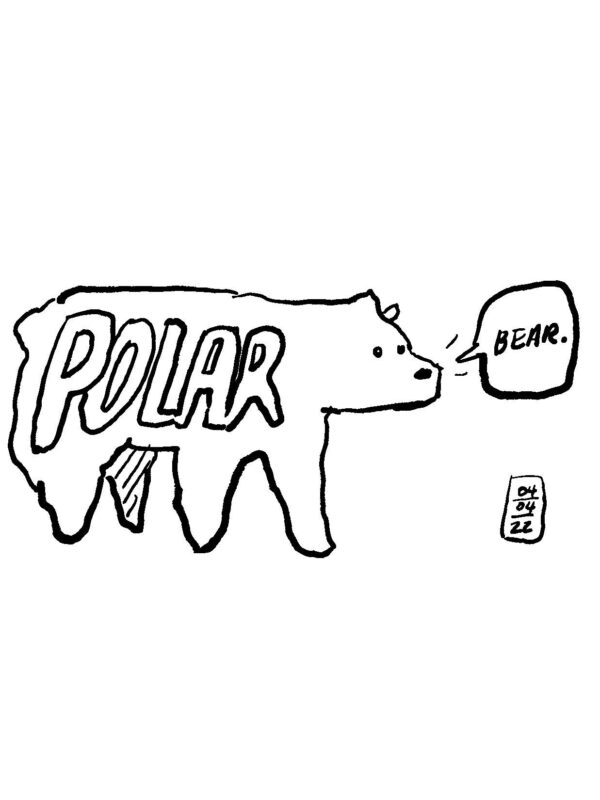 Illustration of a polar bear saying "bear."